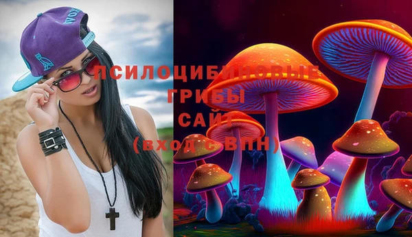 героин Ельня