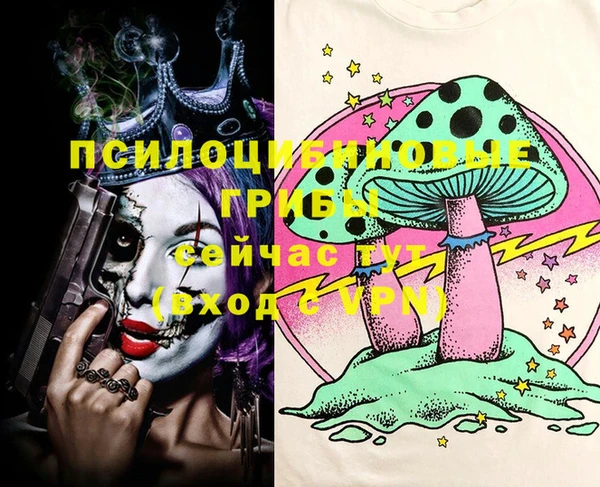 героин Ельня